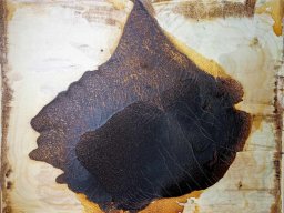 Koelbel-Strauss_Tina_23052025_werk2